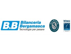 BILANCERIA BERGAMASCA SRL